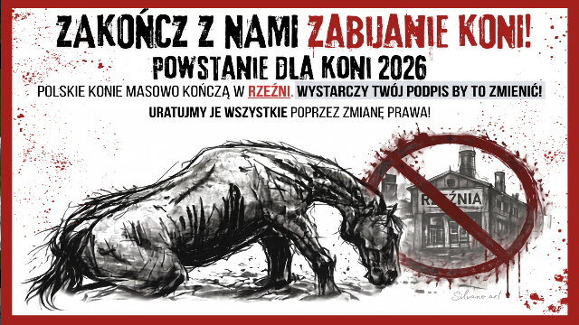 O co walczymy - Powstanie dla Koni